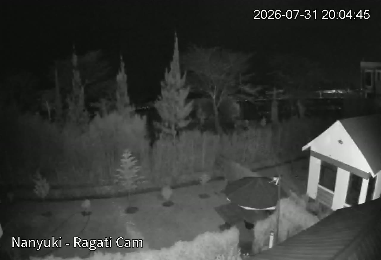 View from the Wingu9 camera at Nanyuki – Ragati in Ragati, Nanyuki (Mount Kenya, Kenya)
